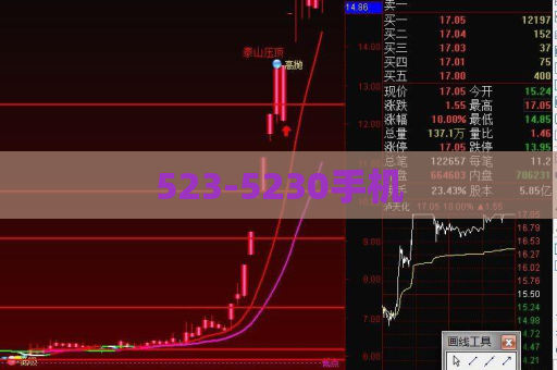 523-5230手机  第1张