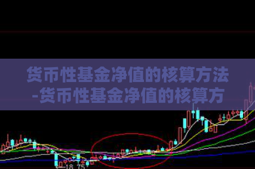 货币性基金净值的核算方法-货币性基金净值的核算方法包括