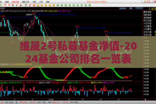 维晟2号私募基金净值-2024基金公司排名一览表