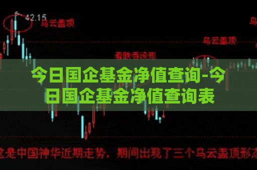 今日国企基金净值查询-今日国企基金净值查询表  第1张