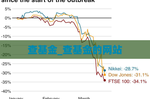 查基金_查基金的网站  第1张