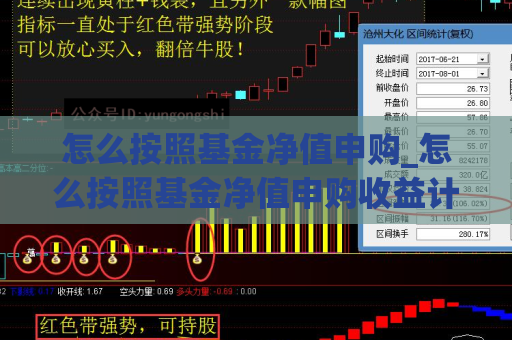 怎么按照基金净值申购_怎么按照基金净值申购收益计算  第1张