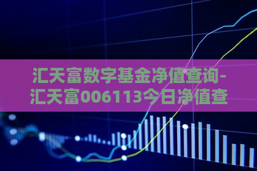 汇天富数字基金净值查询-汇天富006113今日净值查询