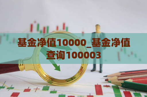 基金净值10000_基金净值查询100003  第1张