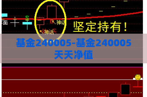 基金240005-基金240005天天净值