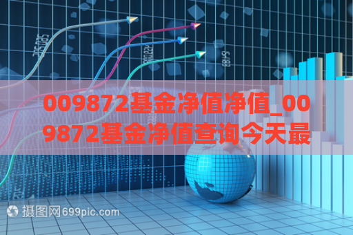 009872基金净值净值_009872基金净值查询今天最新净值