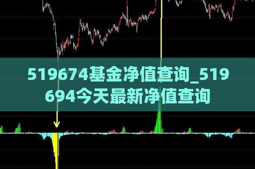 519674基金净值查询_519694今天最新净值查询  第1张