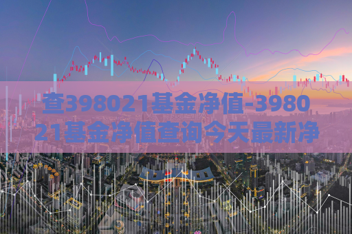 查398021基金净值-398021基金净值查询今天最新净值  第1张