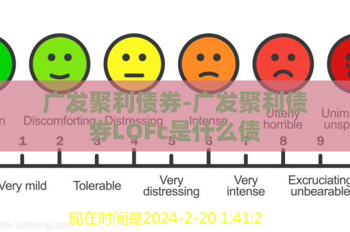 广发聚利债券-广发聚利债券LOFc是什么债  第1张