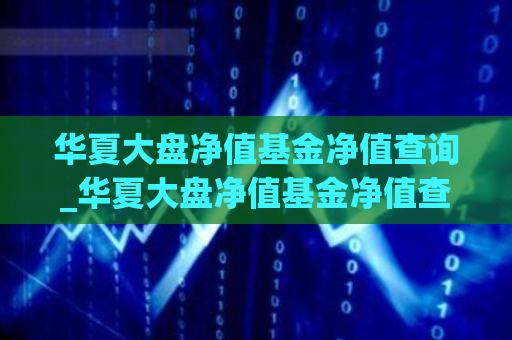 华夏大盘净值基金净值查询_华夏大盘净值基金净值查询官网  第1张