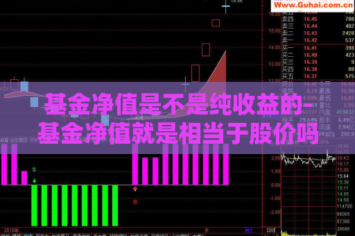 基金净值是不是纯收益的-基金净值就是相当于股价吗  第1张