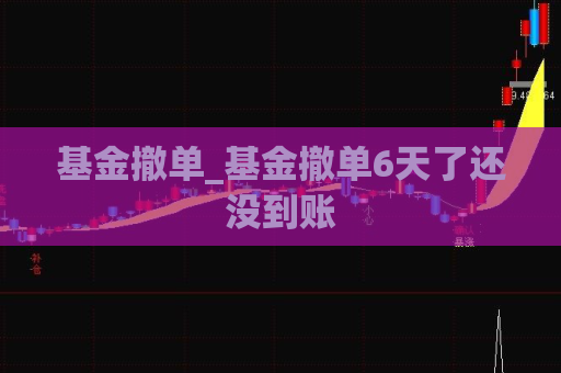 基金撤单_基金撤单6天了还没到账  第1张