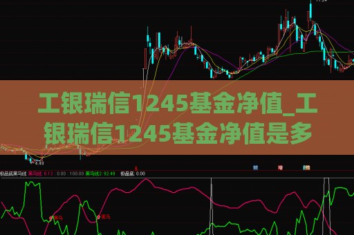 工银瑞信1245基金净值_工银瑞信1245基金净值是多少