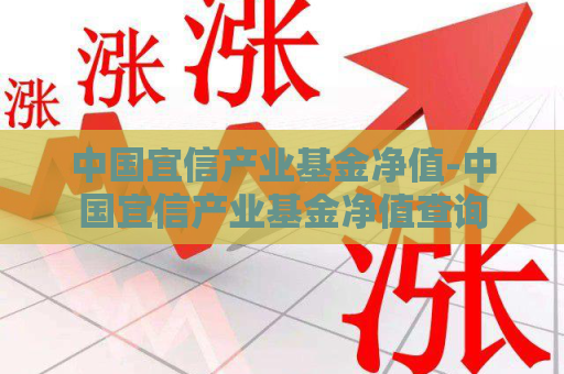 中国宜信产业基金净值-中国宜信产业基金净值查询  第1张