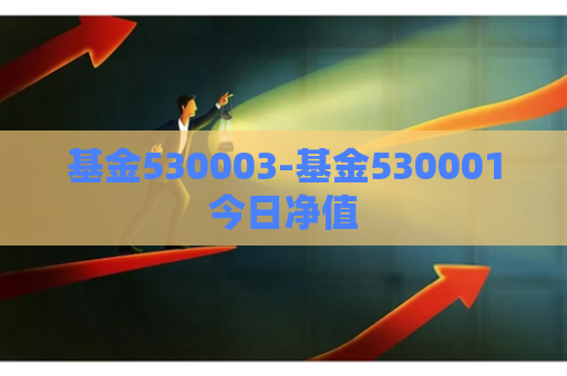 基金530003-基金530001今日净值