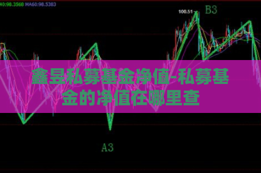 鑫昱私募基金净值-私募基金的净值在哪里查  第1张