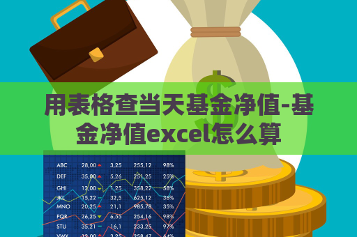 用表格查当天基金净值-基金净值excel怎么算  第1张