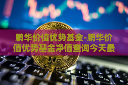 鹏华价值优势基金-鹏华价值优势基金净值查询今天最新净值