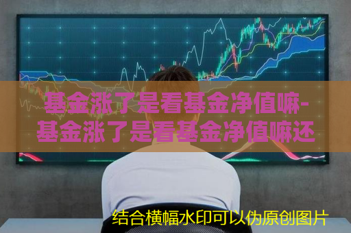 基金涨了是看基金净值嘛-基金涨了是看基金净值嘛还是净值