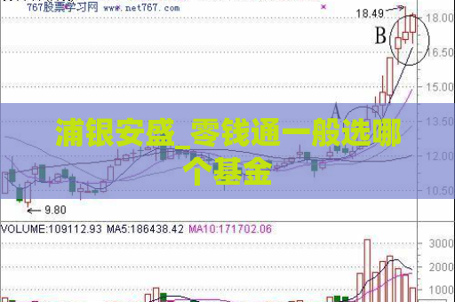 浦银安盛_零钱通一般选哪个基金