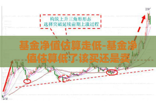 基金净值估算走低-基金净值估算低了该买还是卖