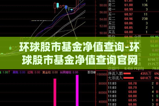 环球股市基金净值查询-环球股市基金净值查询官网  第1张