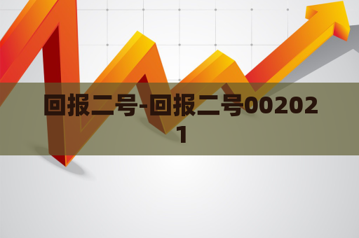 回报二号-回报二号002021  第1张