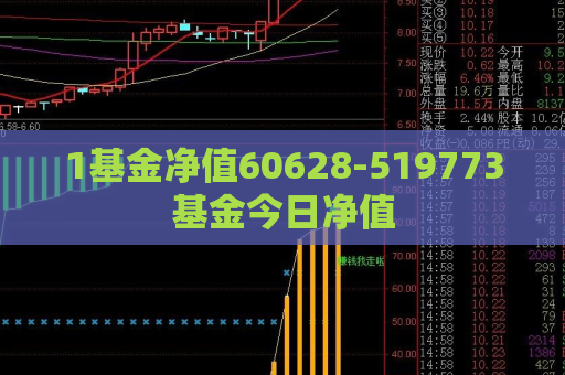 1基金净值60628-519773基金今日净值  第1张