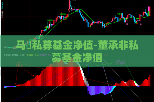 马喆私募基金净值-董承非私募基金净值