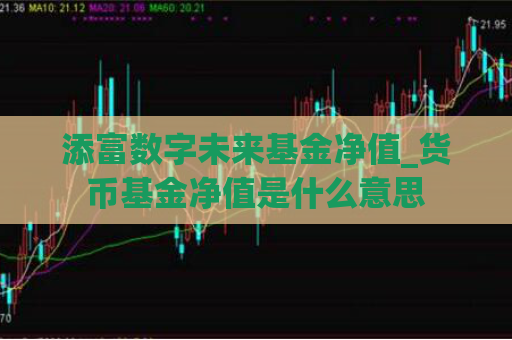 添富数字未来基金净值_货币基金净值是什么意思