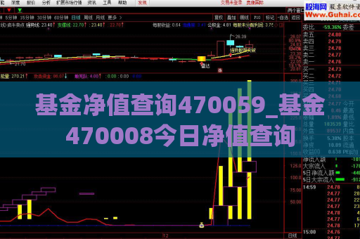 基金净值查询470059_基金470008今日净值查询  第1张