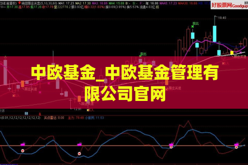 中欧基金_中欧基金管理有限公司官网  第1张