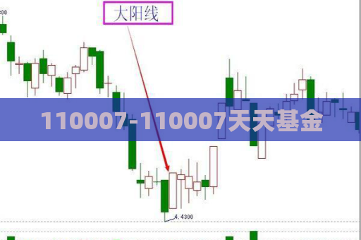 110007-110007天天基金