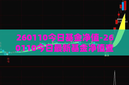 260110今日基金净值-260110今日最新基金净值查询