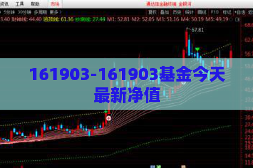 161903-161903基金今天最新净值  第1张