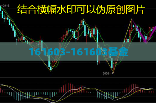 161603-161603基金  第1张