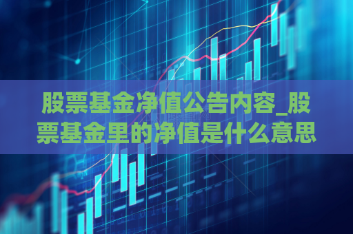 股票基金净值公告内容_股票基金里的净值是什么意思  第1张