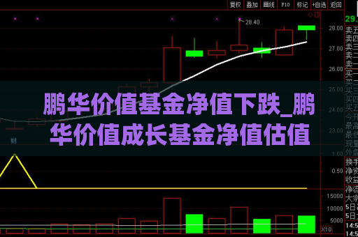 鹏华价值基金净值下跌_鹏华价值成长基金净值估值