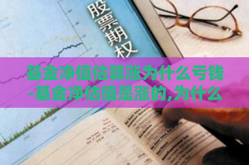 基金净值估算涨为什么亏钱-基金净估值是涨的,为什么净值就跌了呢  第1张