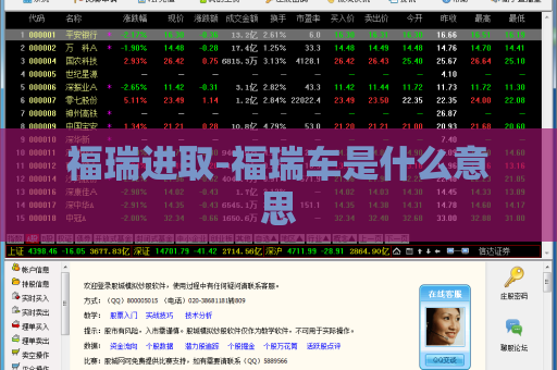 福瑞进取-福瑞车是什么意思