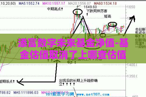 添富数字未来基金净值-基金估值取消了上哪查估值