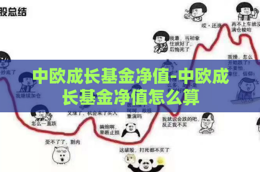 中欧成长基金净值-中欧成长基金净值怎么算