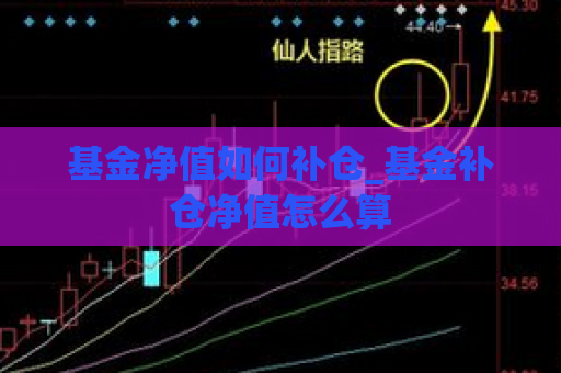 基金净值如何补仓_基金补仓净值怎么算  第1张