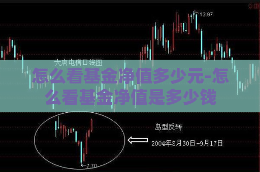 怎么看基金净值多少元-怎么看基金净值是多少钱