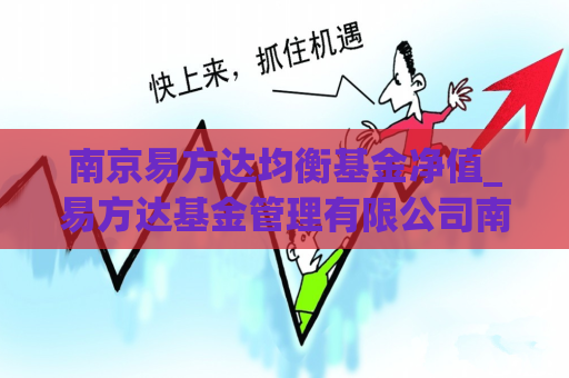 南京易方达均衡基金净值_易方达基金管理有限公司南京分公司