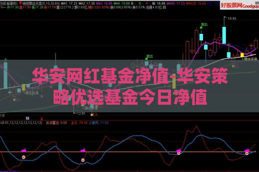 华安网红基金净值-华安策略优选基金今日净值  第1张