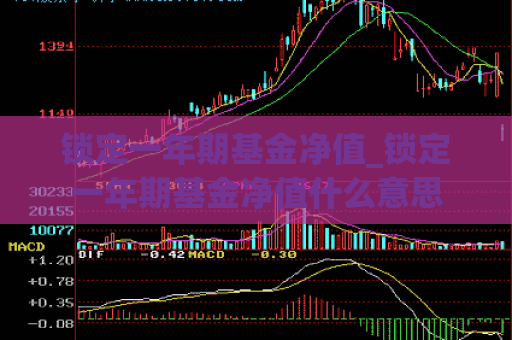 锁定一年期基金净值_锁定一年期基金净值什么意思  第1张