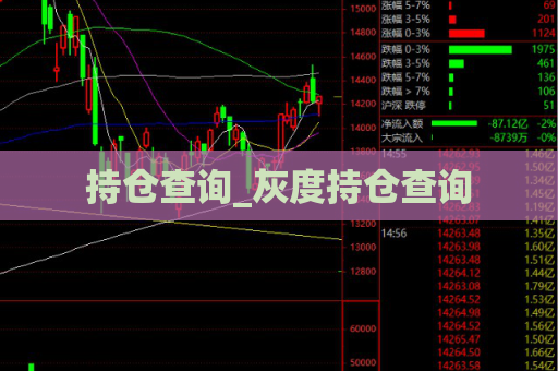 持仓查询_灰度持仓查询