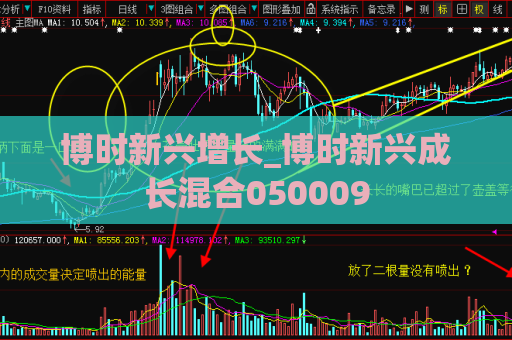 博时新兴增长_博时新兴成长混合050009