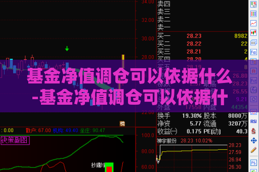 基金净值调仓可以依据什么-基金净值调仓可以依据什么计算  第1张